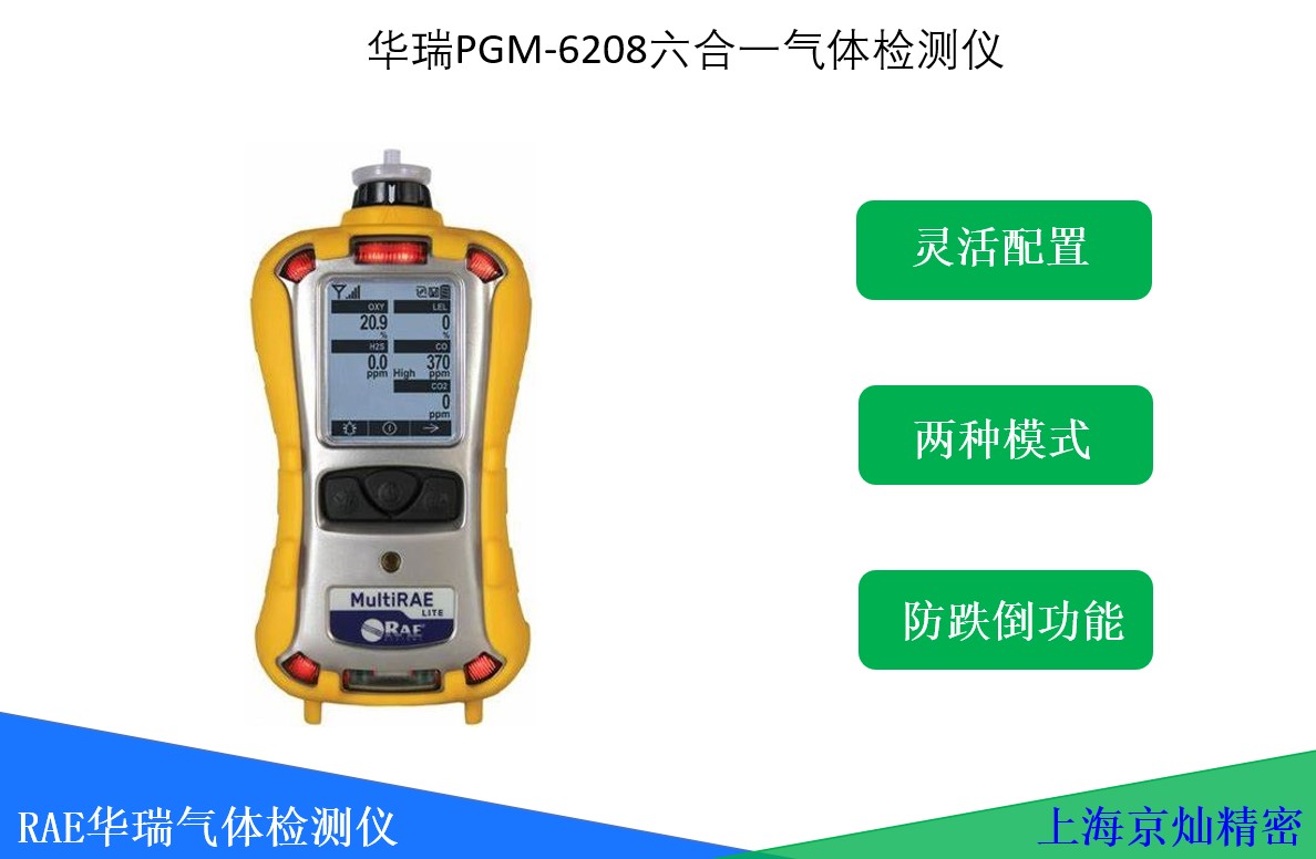  华瑞PGM-6208六合一气体泄漏检测仪